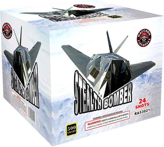 RA53021 Stealth Bomber 500 Gram 24 Shots Rectangle Cake 