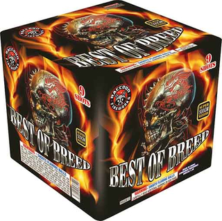 RA53612 Best of Breed 500 Gram 9 Shots Cake 