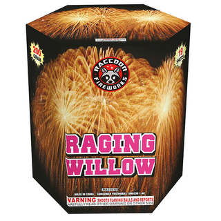 RA22512 Raging Willow 200 Gram 19 Shots Hexagon Cake 